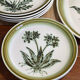 Plates and dish Gien herbarium décor