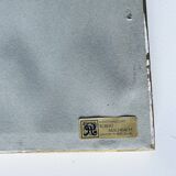 Botanical engraving framed