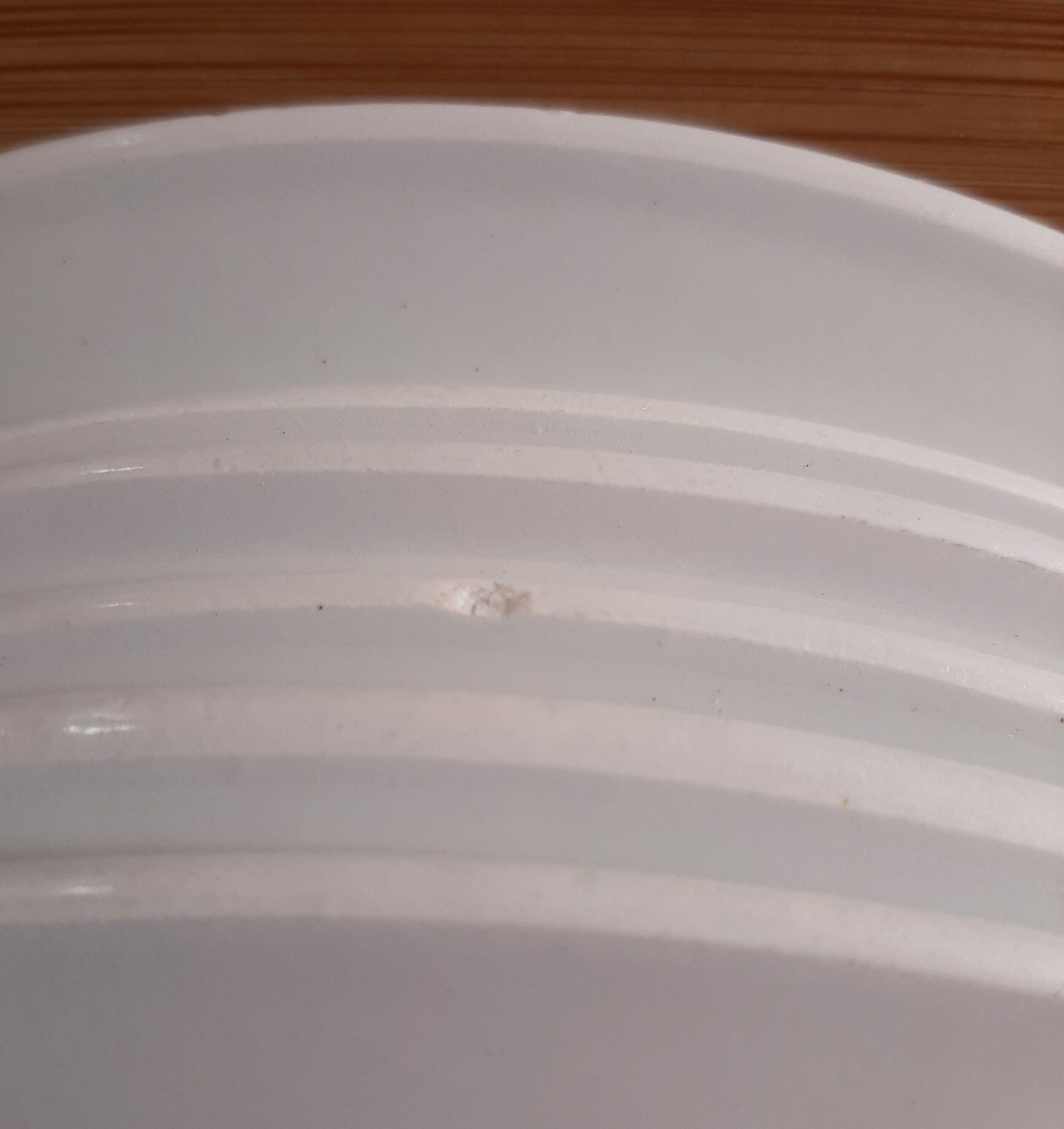 Lot de 6 assiettes plates anciennes Céranord  St Amand modèle LUGANO