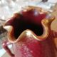 Vase Sarreguemines