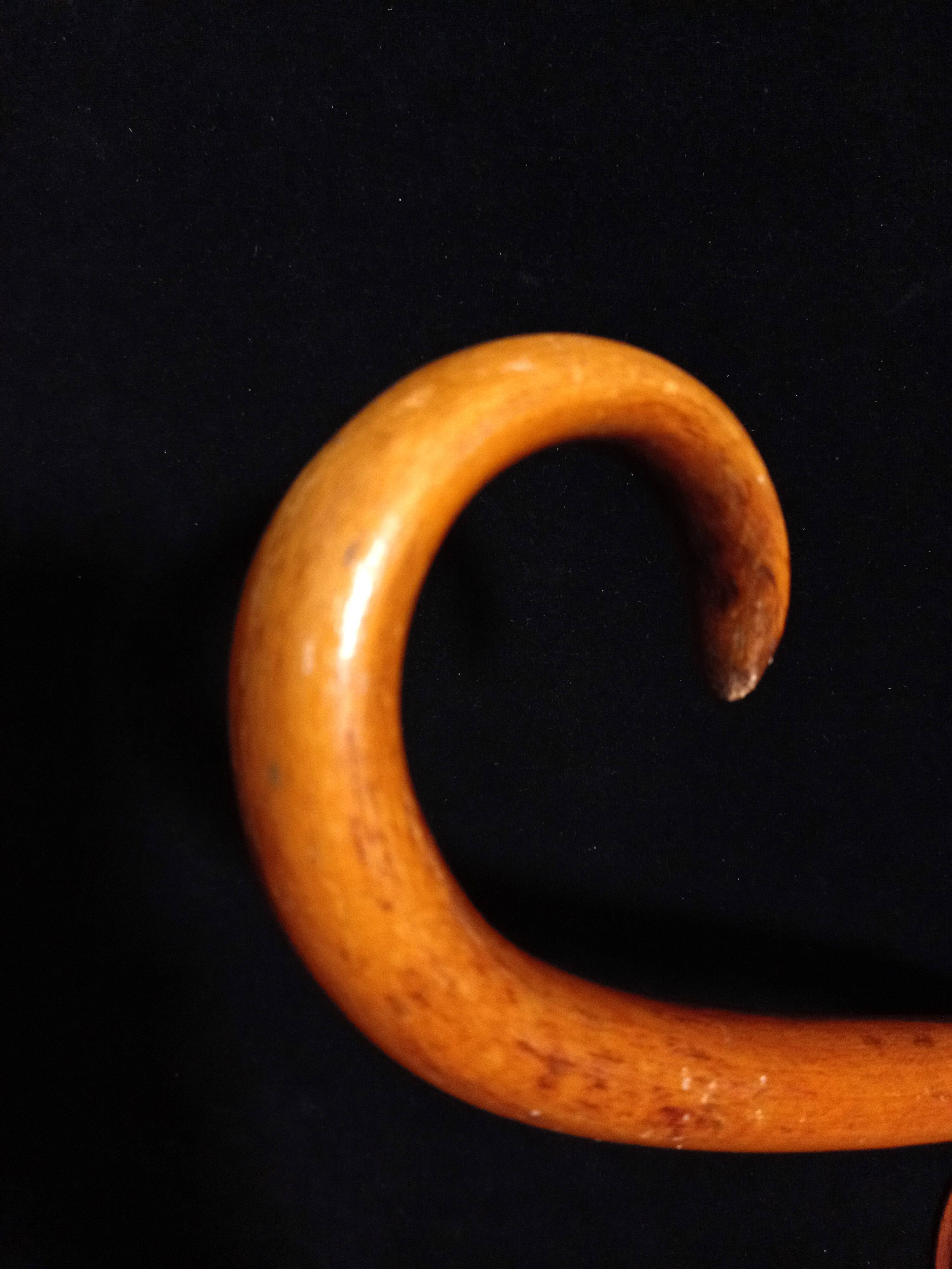 Double Art Nouveau Coat Hook in Bent Wood from Thonet