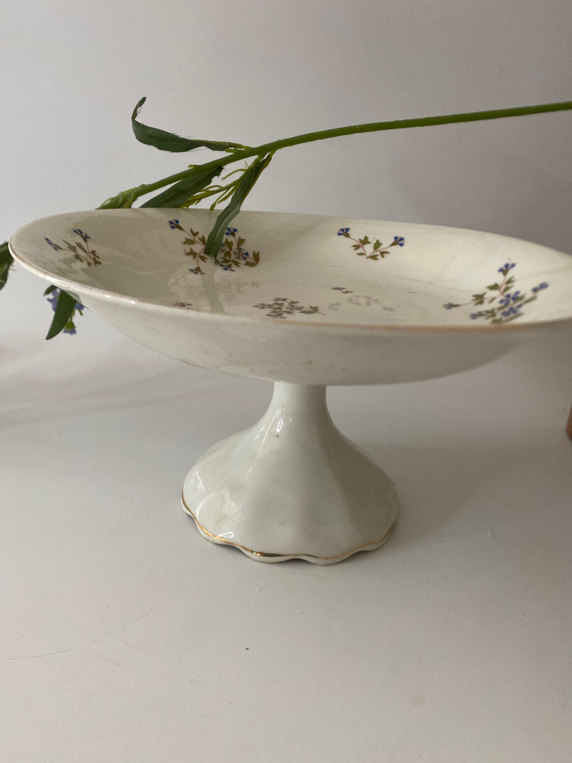 Compotier bleuets Barbeau