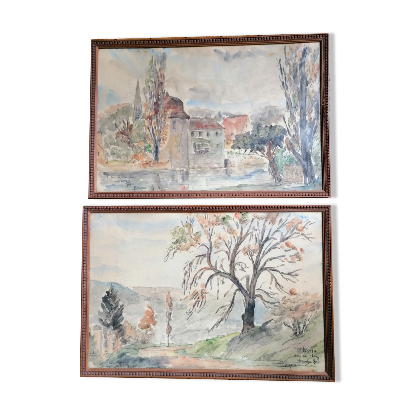 Watercolors. year. 30