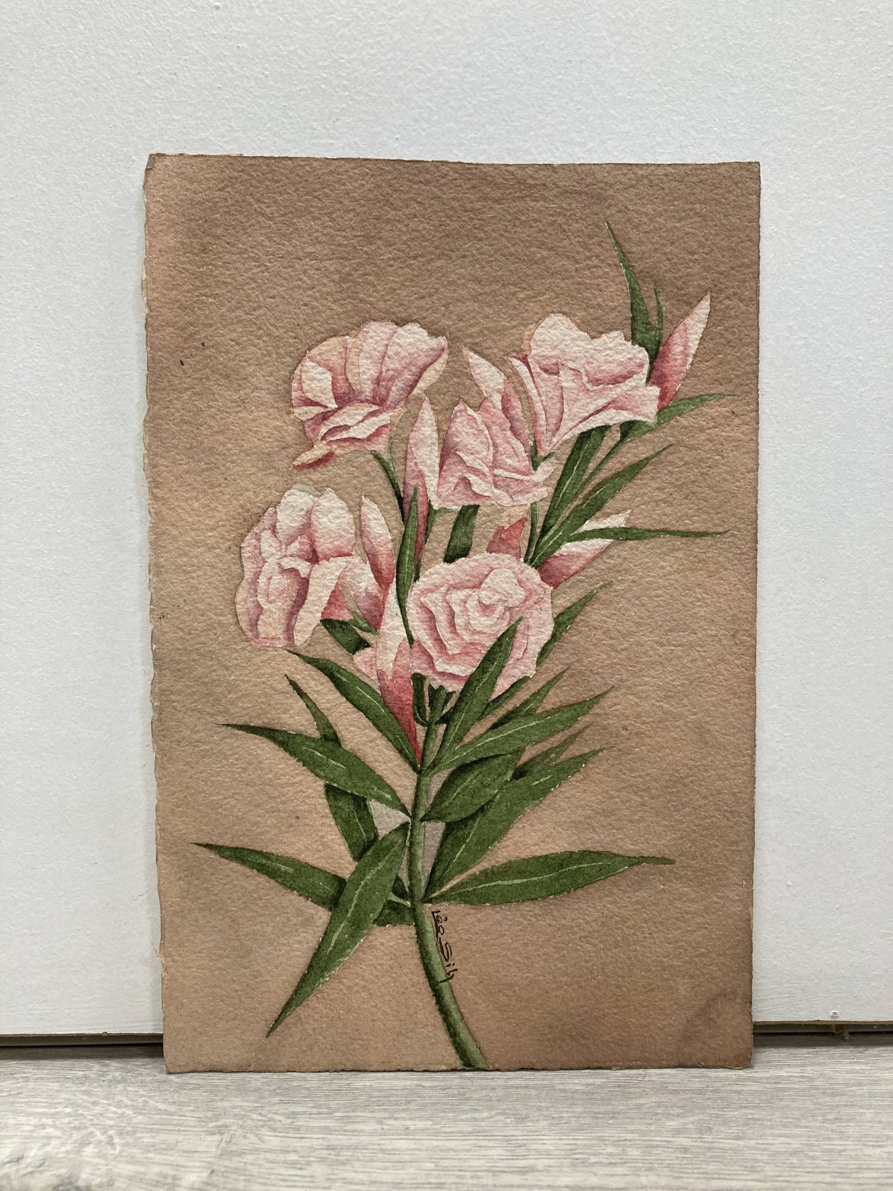 Signed watercolor with oleander flowers