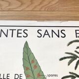 Rossignol pedagogical poster