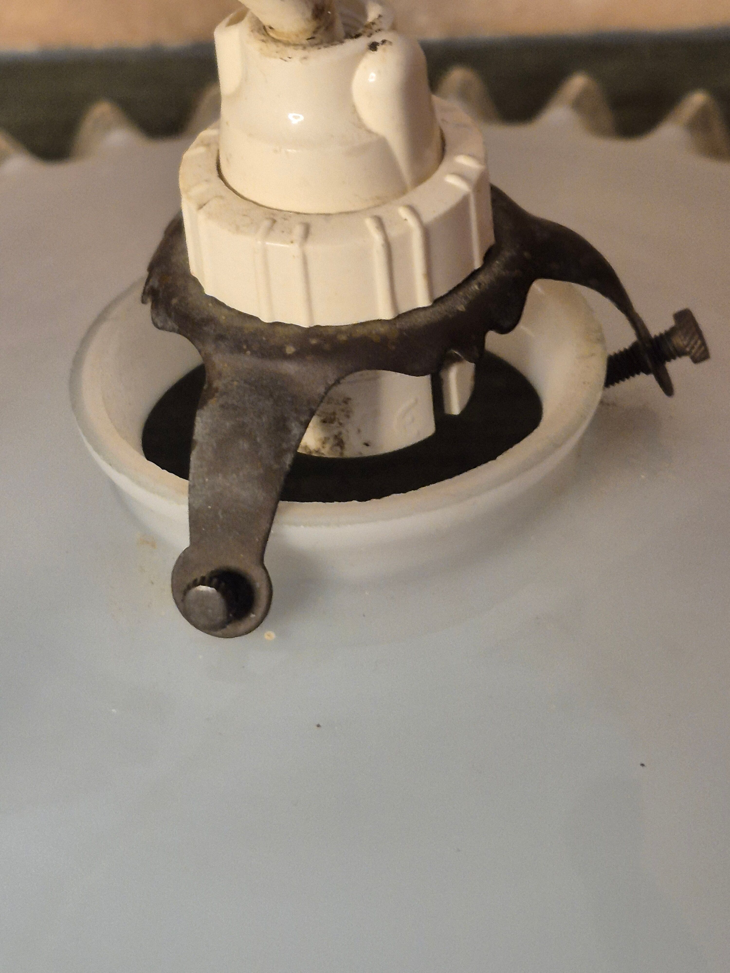 Opaline suspensions