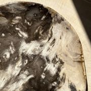 Très grand vide poche ou plat en bois pétrifié