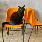 Orange chairs x4