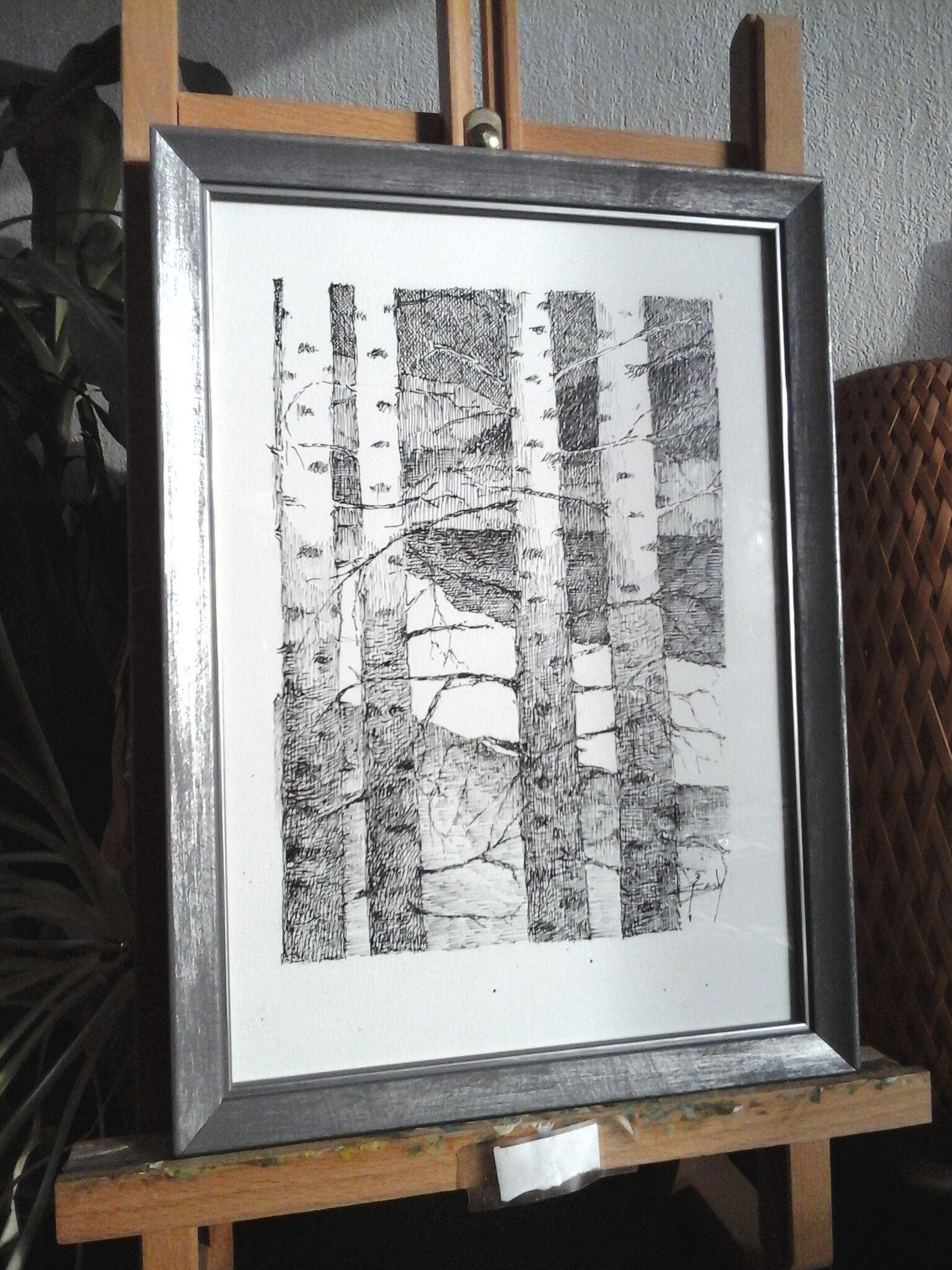 The birch trees, ink from china