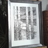 The birch trees, ink from china