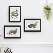 Set of 3 chimeras lithography animal engraving