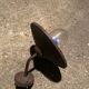 Industrial swan neck wall light