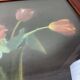 Bouquet of tulips