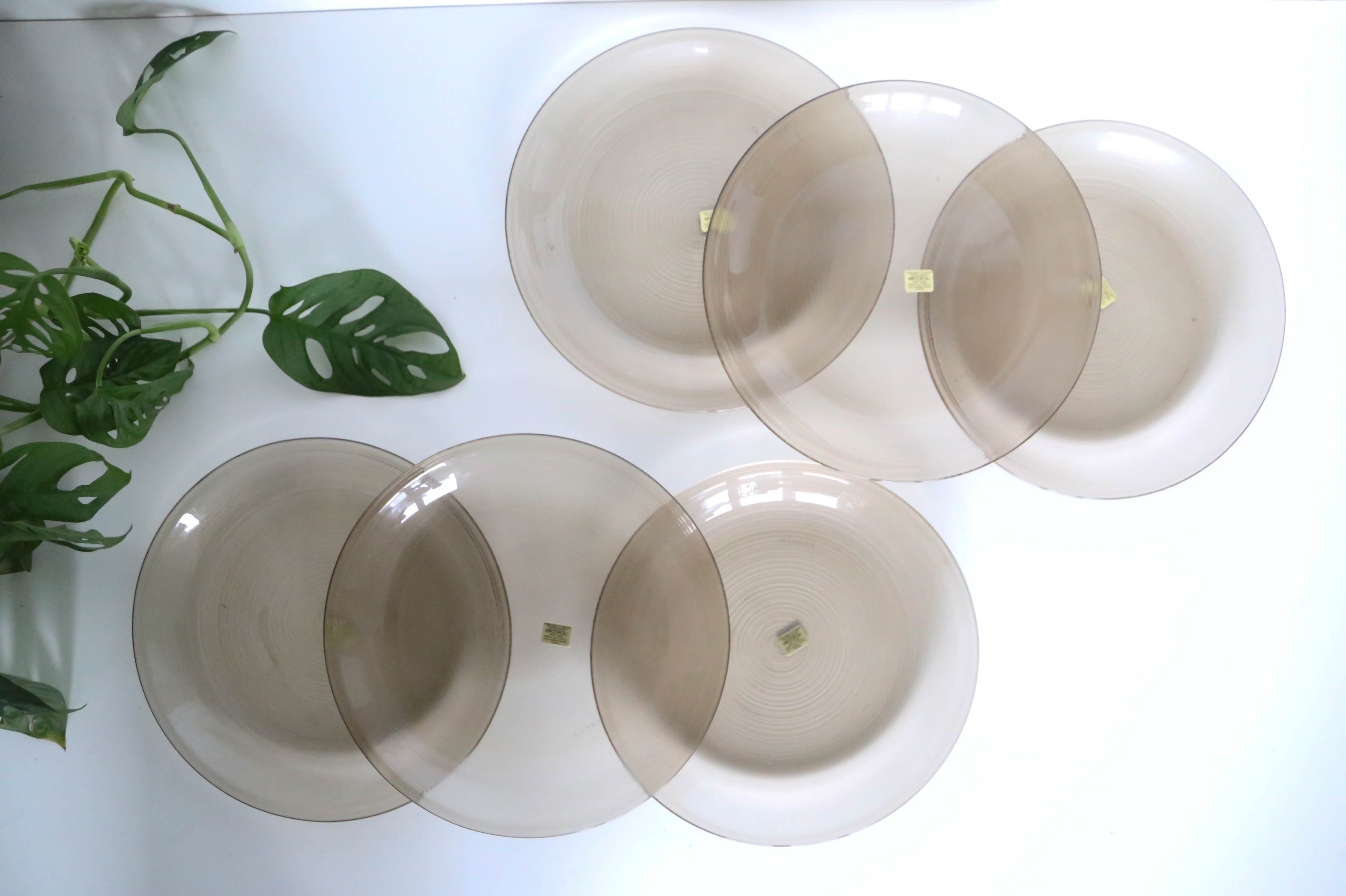 Set of 6 flat plates Arcoroc, in gray smoked glass, vintage French