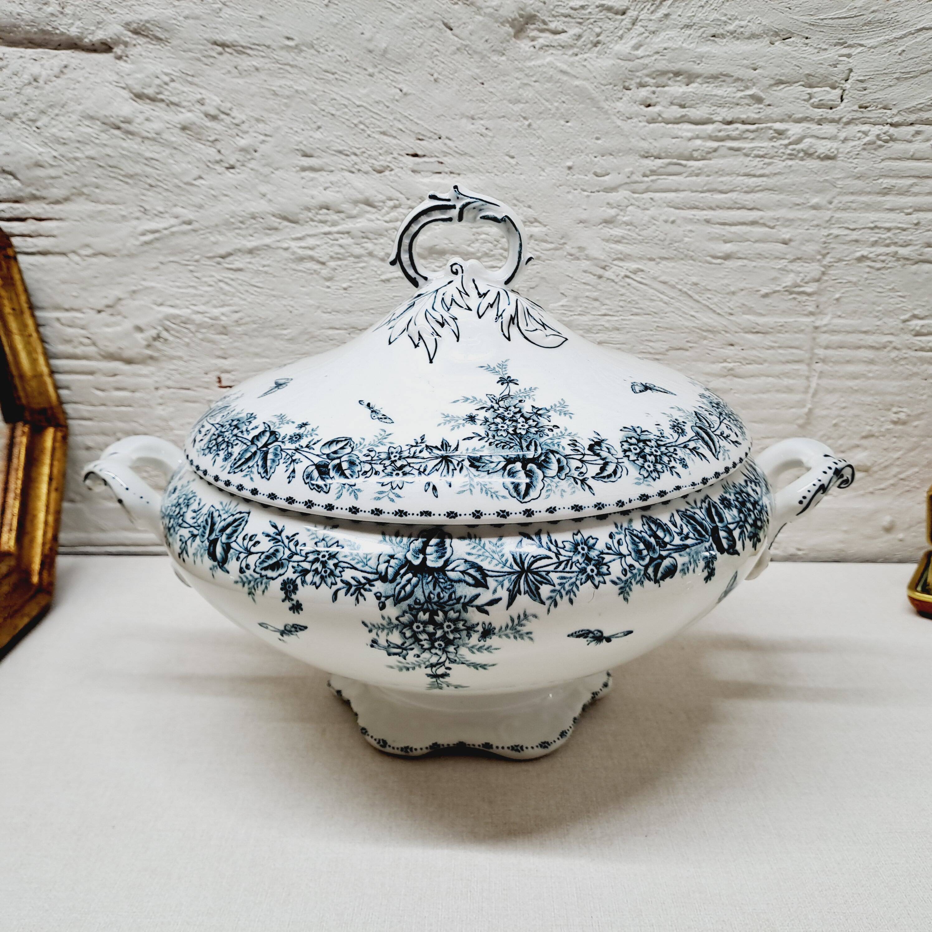 Vegetable Terre de Fer Onaing