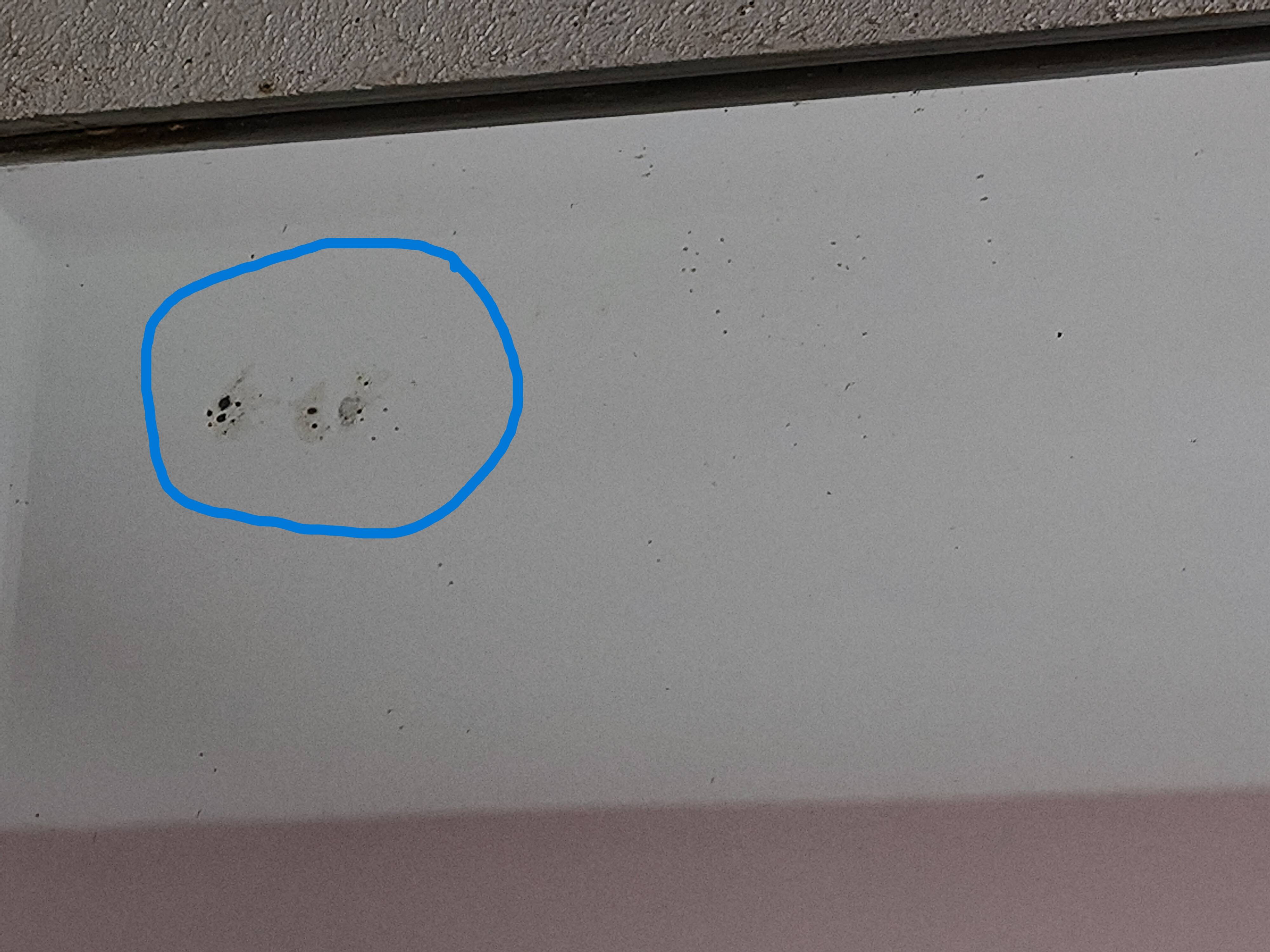 Art Deco wooden mirror with bevelled glass