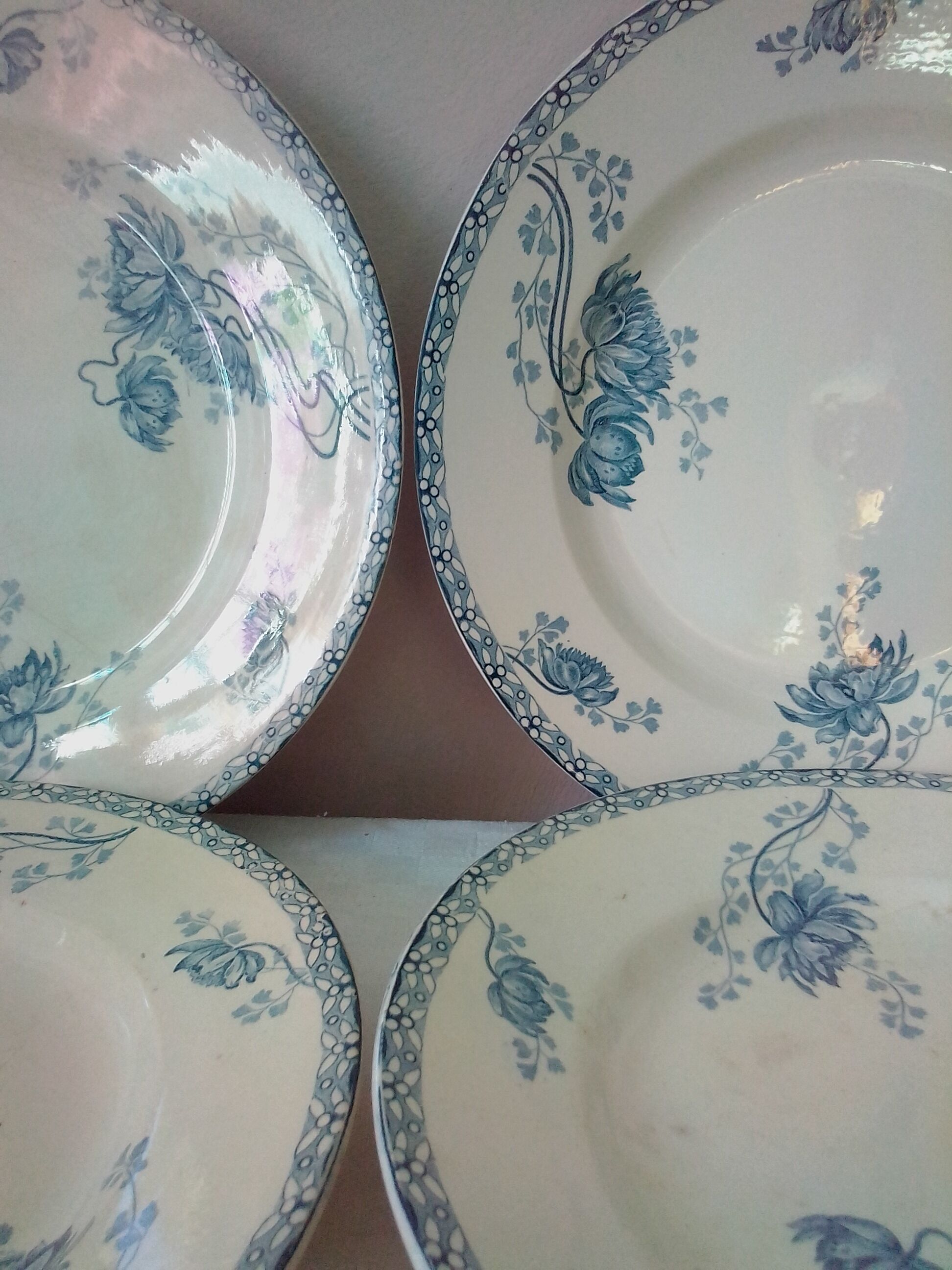 6 dinner plates model royat sarreguemines