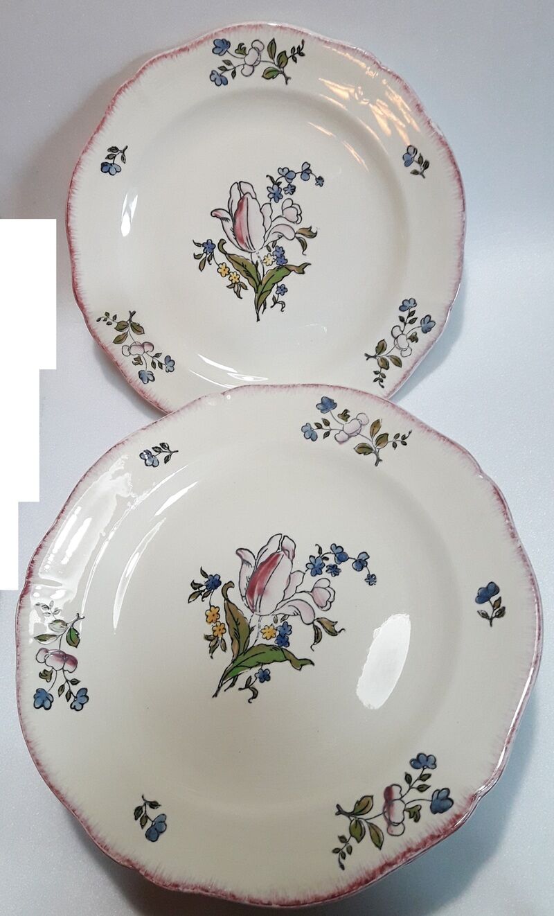 Set of 13 plates Gien earthenware 25cm