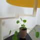 Space Age mushroom lamp vintage