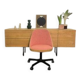 Kaiak meeting chair