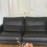 Roche Bobois sofa