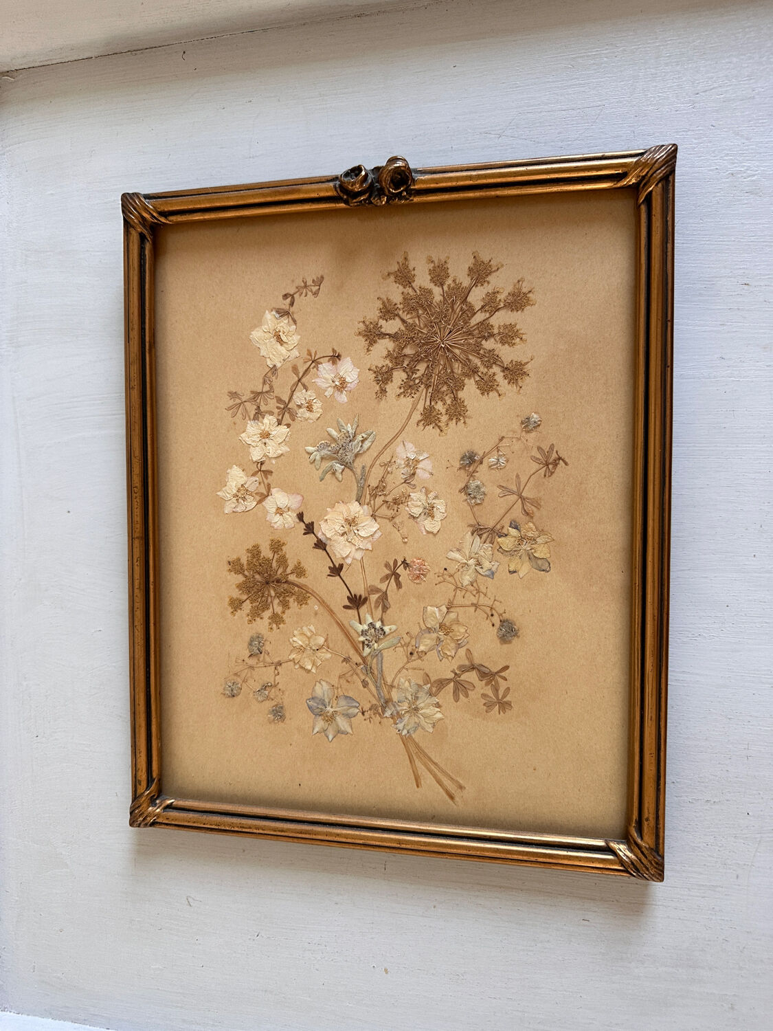 Old frames with dried flowers