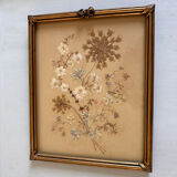 Old frames with dried flowers