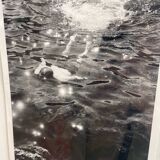 Underwater - Marseille