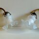 Swan neck wall lights in bronze and glass - early 20th century.