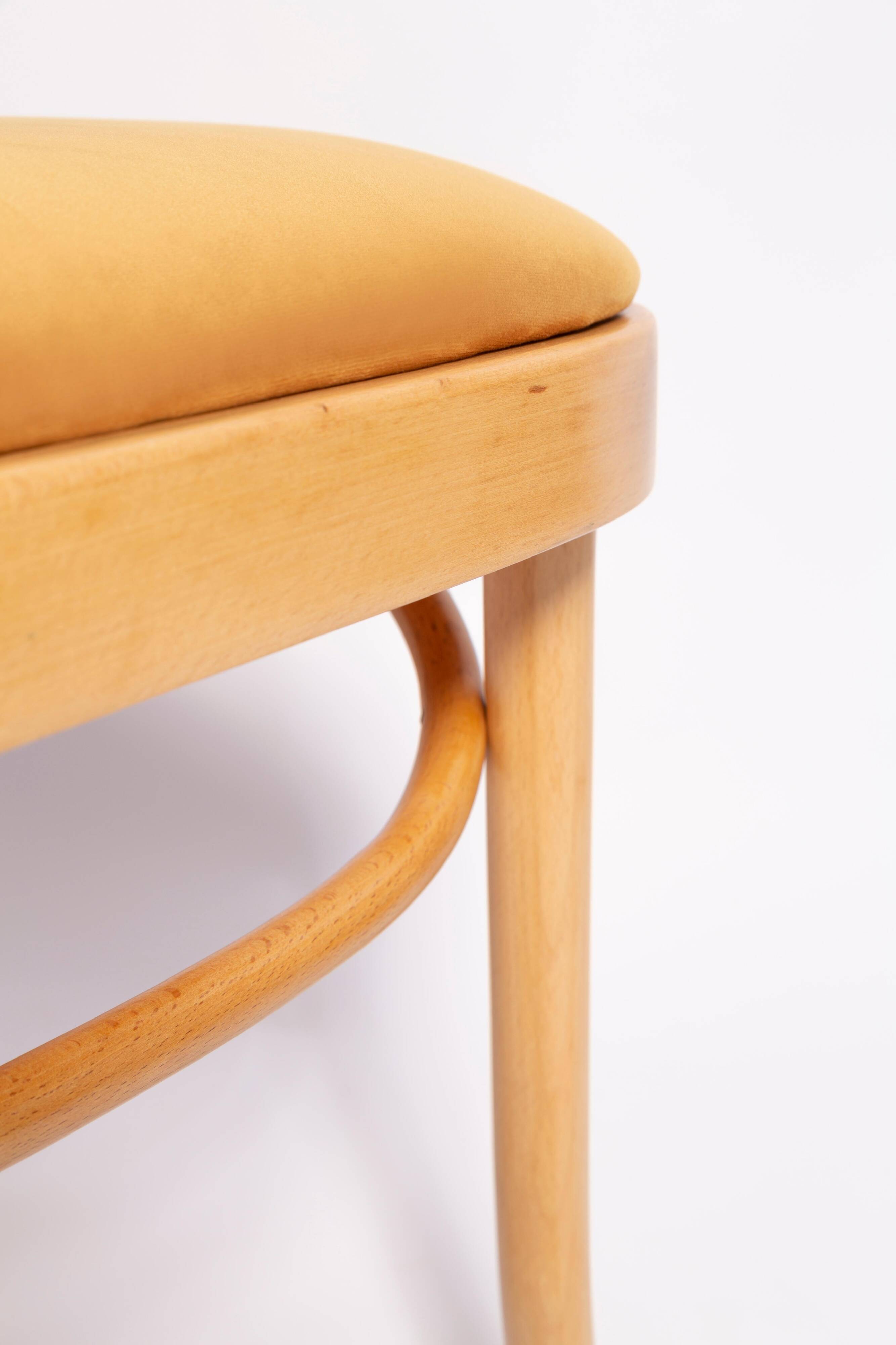 Thonet chair in rattan and yellow velvet wood from the mid-century, Europe, 1960s.