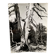 Silver gelatin photograph by Bernard Darot, Branches of a dead tree, 20th century