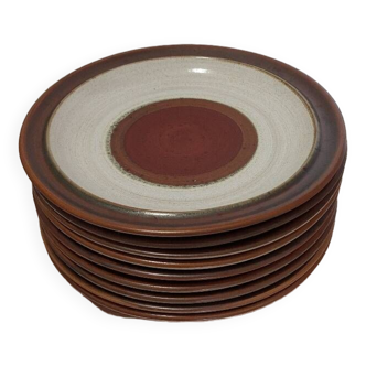 9 Denby stoneware plates