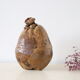 Ice bucket, or pretty coconut box, nature decoration, exotic