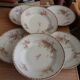 6 hollow plates porcelain of Limoges