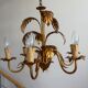 Lustre Hans Kogl