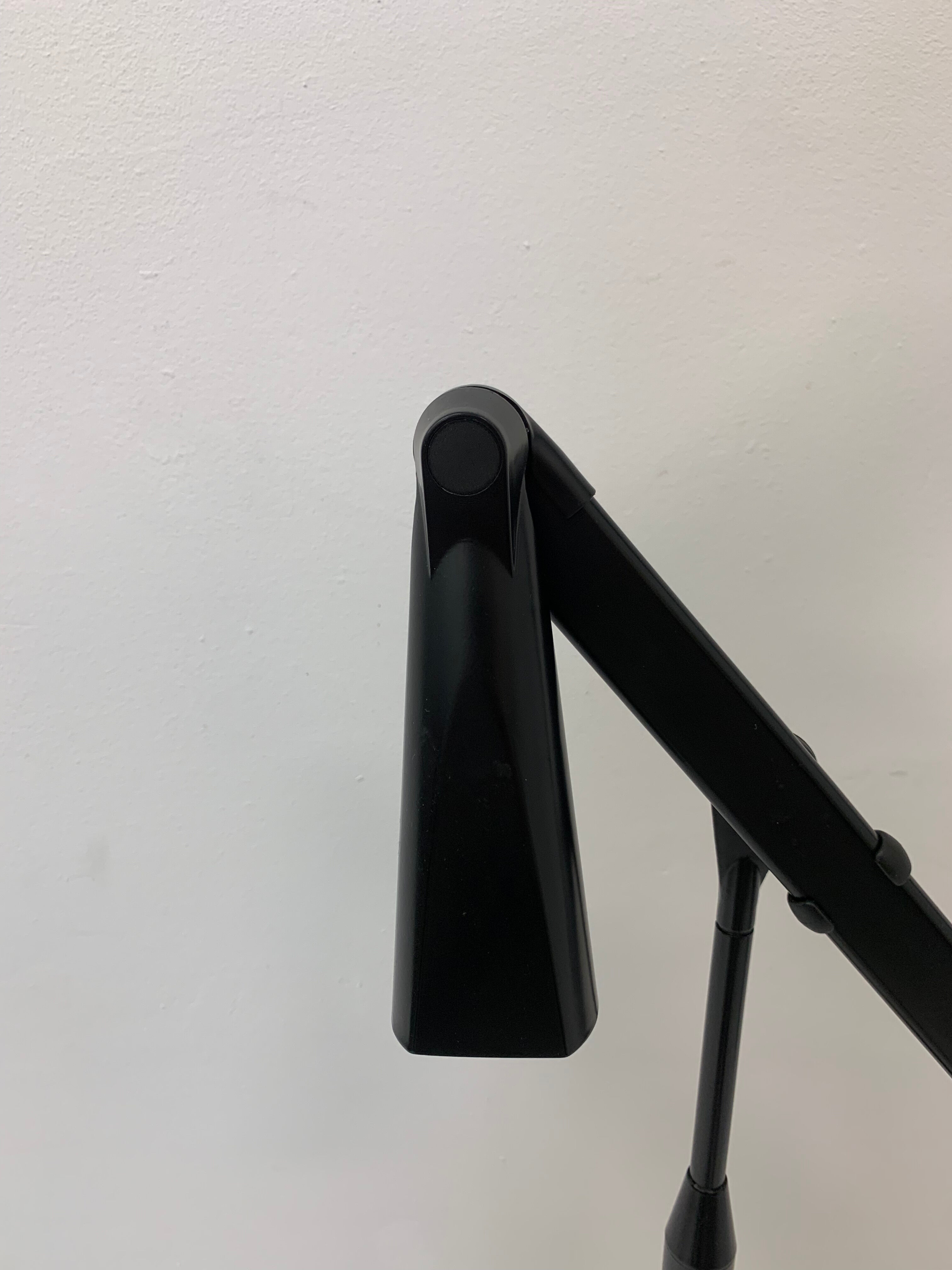 Zelig Terra Floor Lamp by Walter Monici for Lumina, 1980s