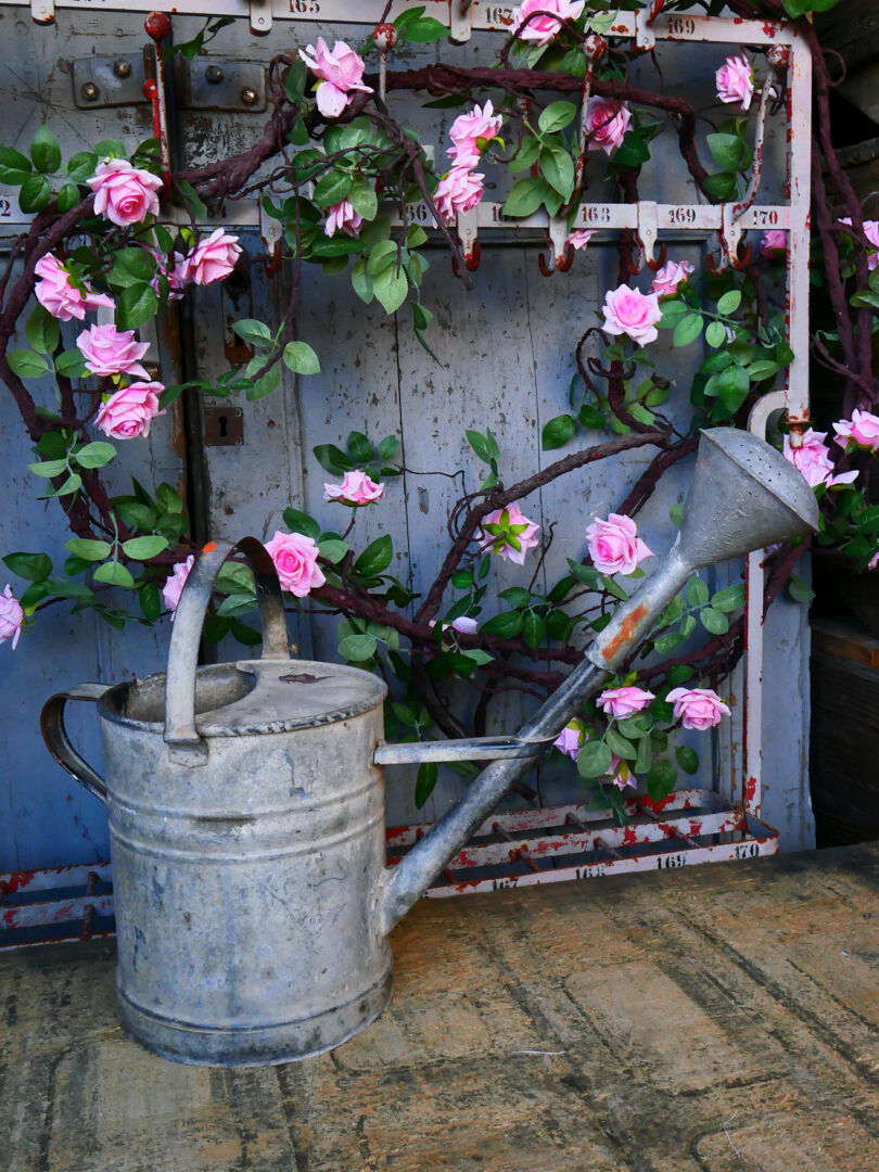 Zinc watering can