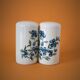Porcelain salt and pepper shaker