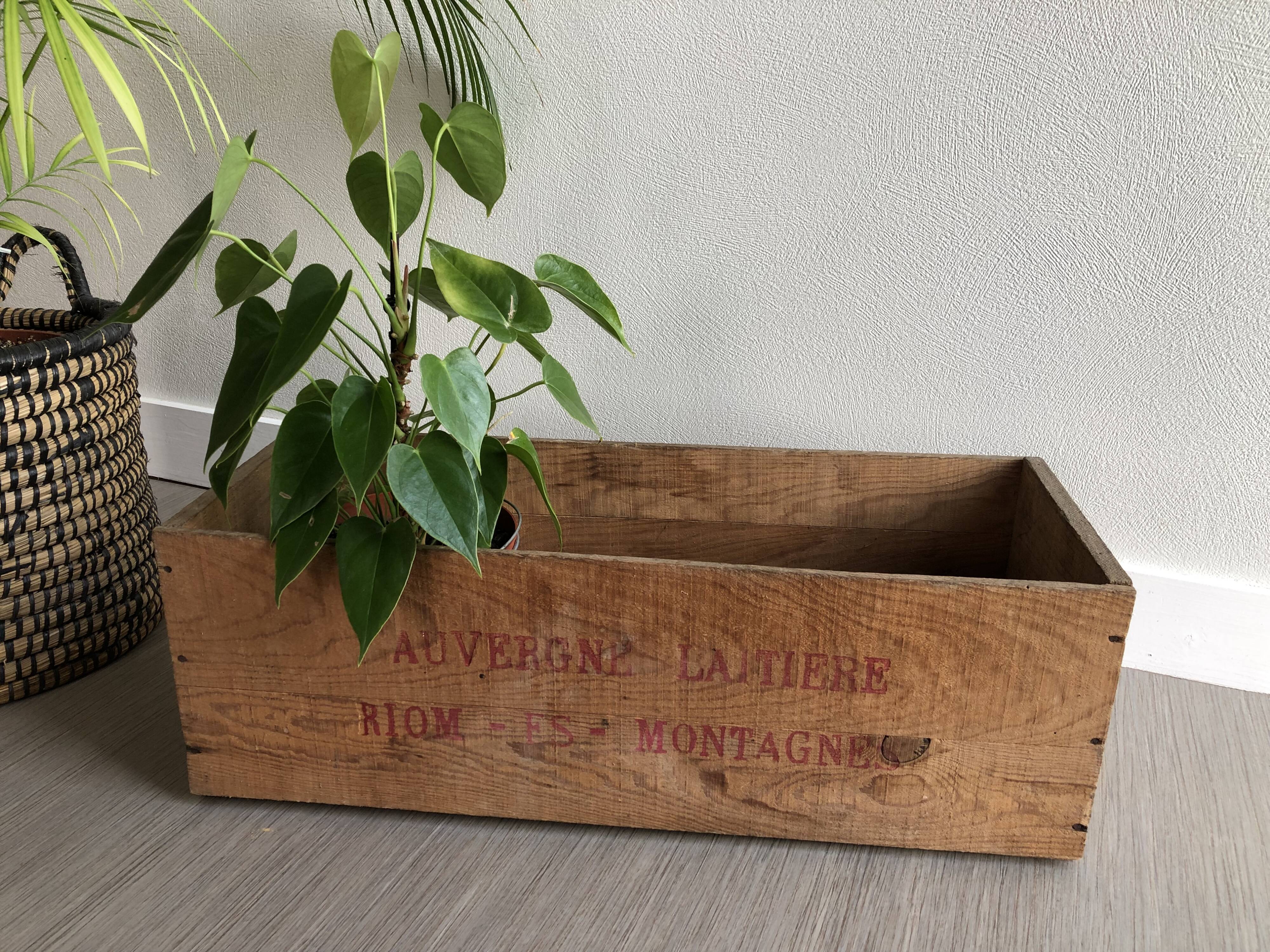 Wood advertising box "Auvergne dairy"