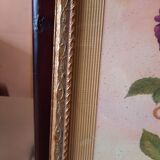 The Tuscan rose vintage illustration