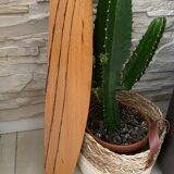 Wooden airplane propeller