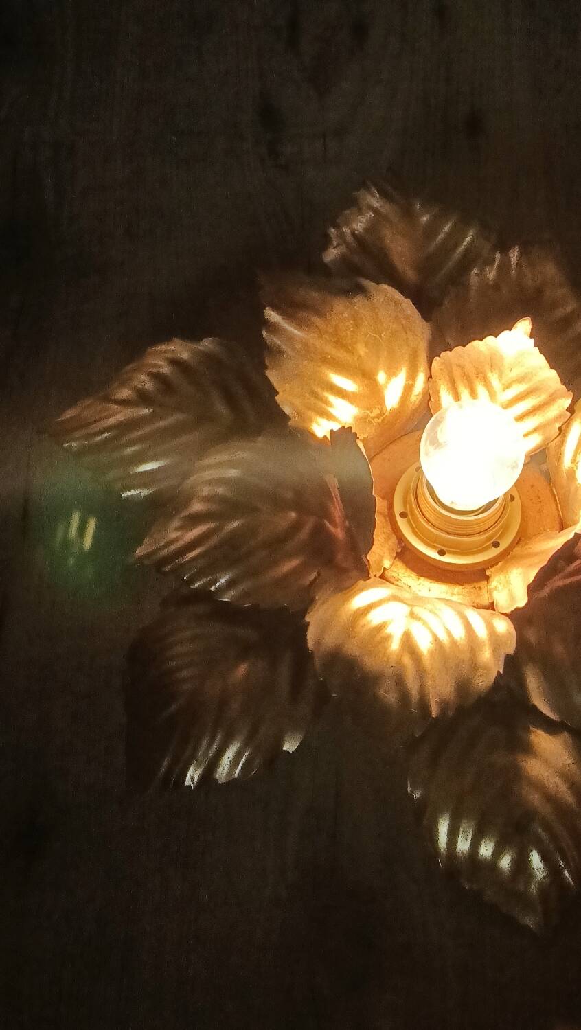Gold Masca flower wall light