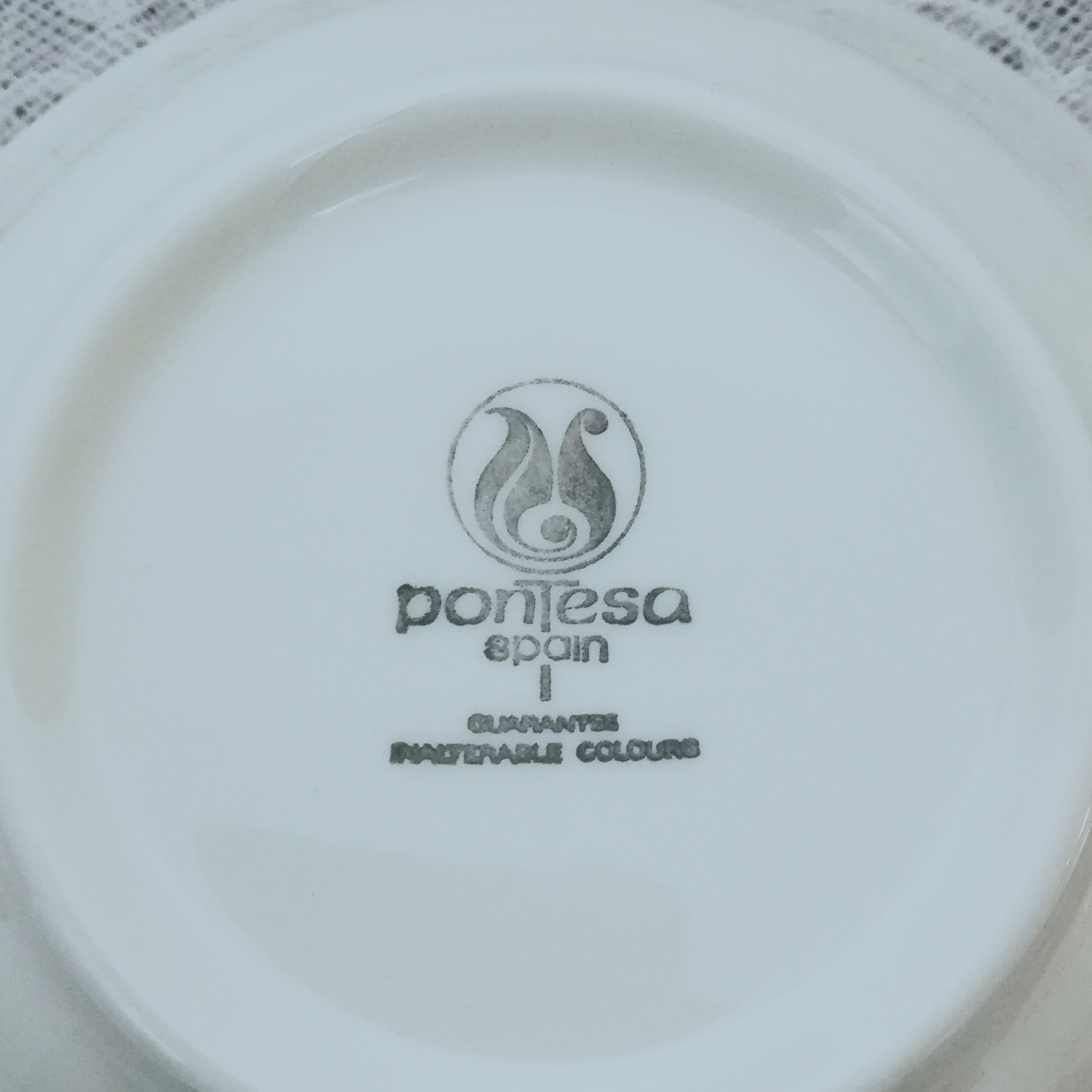 Service 36 pieces in Spanish porcelain Pontesa