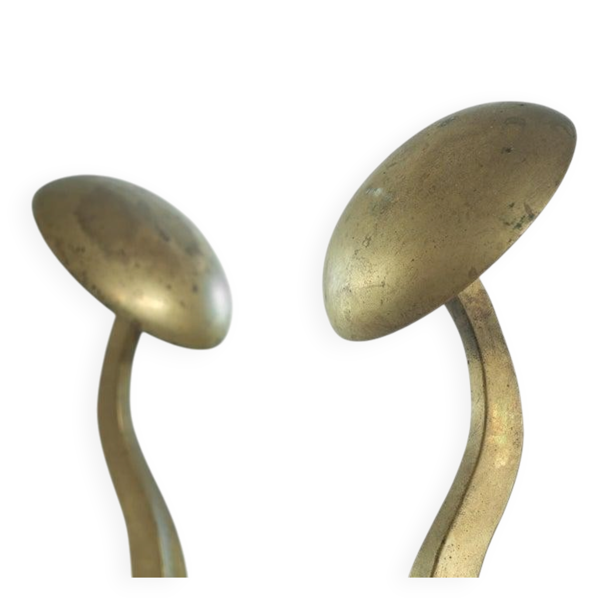 Paire d'Andirons Jugendstil en laiton patiné, style Art nouveau, début 20e siècle