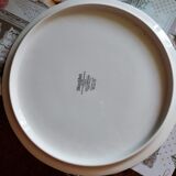 Dish