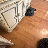 Baroque style file cabinet