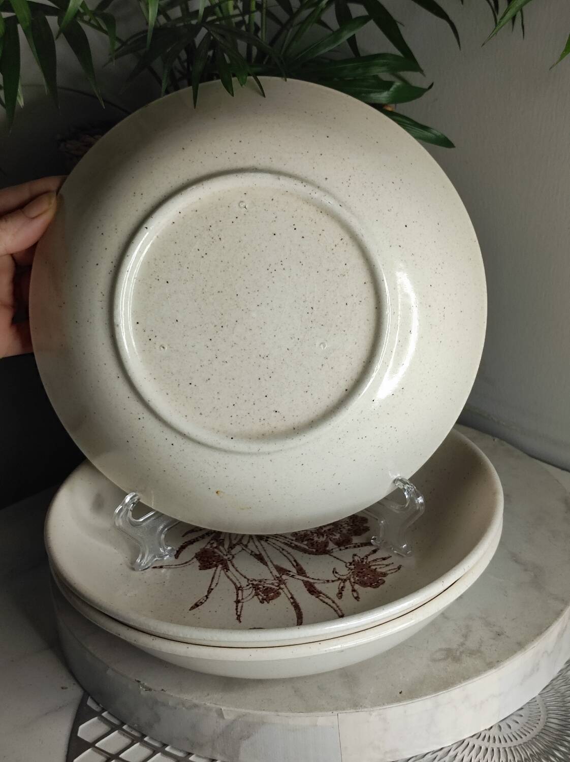 Ceramic stoneware soup plates