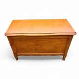 Vintage 70's storage trunk