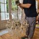 Lustre