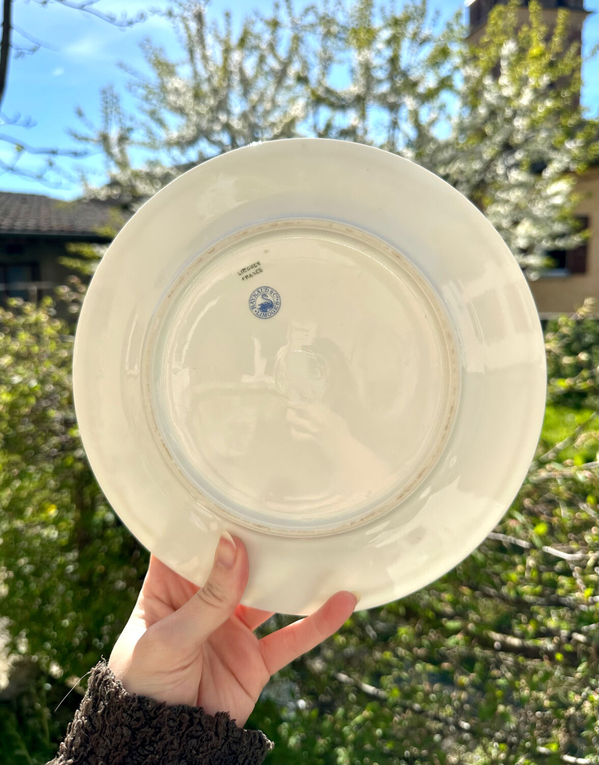 5 assiettes à dessert en porcelaine de Limoges - Raynaud & Co